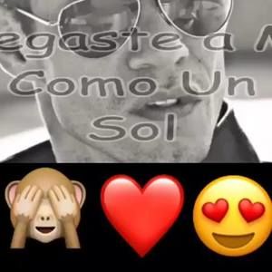 Meet your Posher, Rosibel